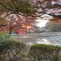 【広すぎる公園！】東京・立川の国営昭和記念公園を楽しむ