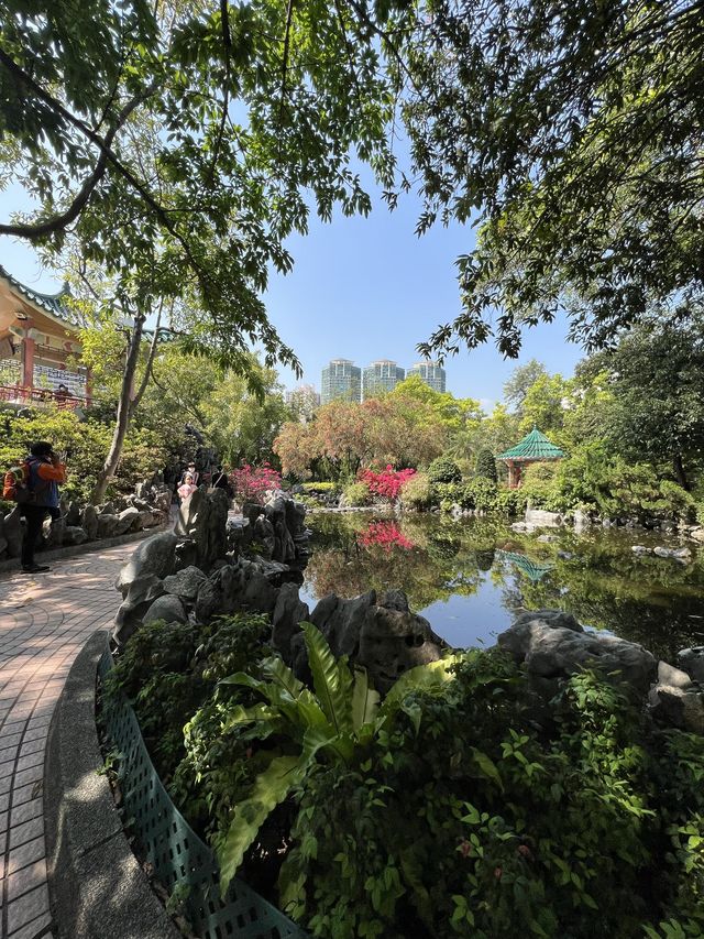 荔枝角公園放電 影相打卡 好去處🥰