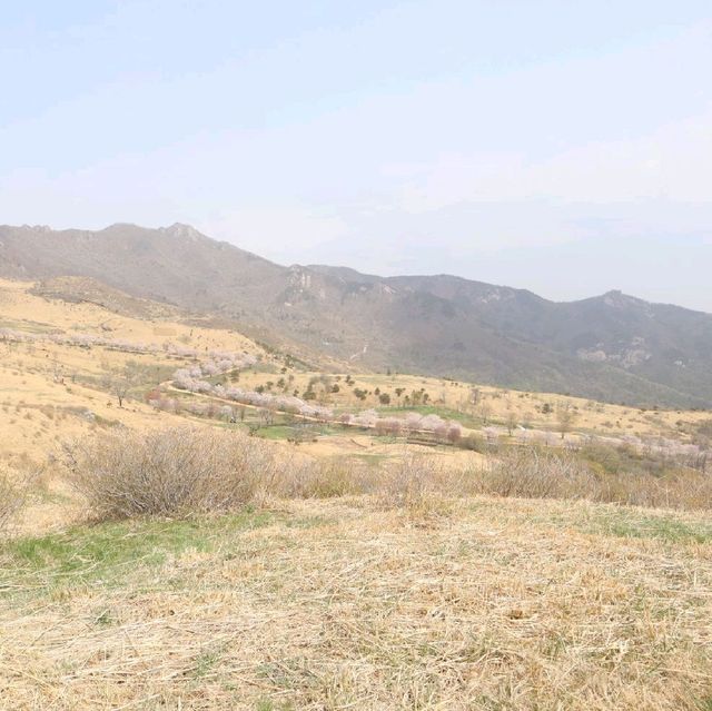 등산코스 추천 '황매산'