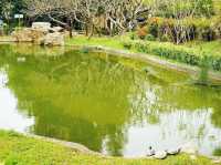 青衣公園