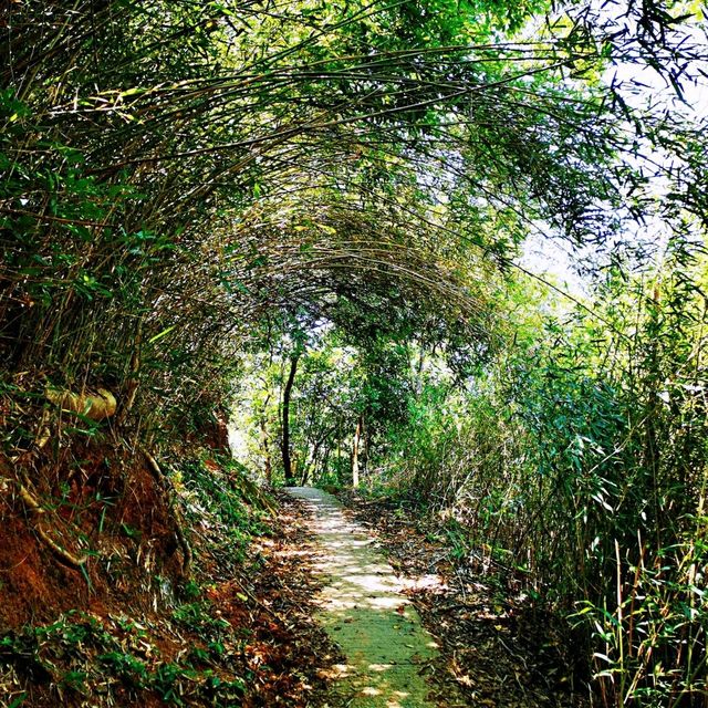 北港古道•茅坪坳•大水井古道