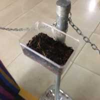 解構錫蘭紅茶大產國斯理蘭卡的茶葉廠