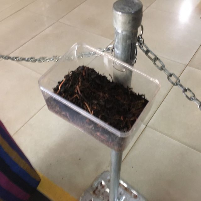 解構錫蘭紅茶大產國斯理蘭卡的茶葉廠