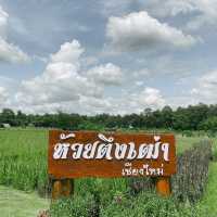อ่างเก็บน้ำห้วยตึงเฒ่า - สถานที่พักผ่อนคนเชียงใหม่