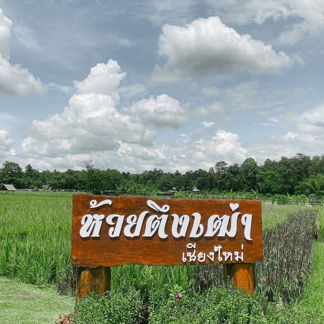 อ่างเก็บน้ำห้วยตึงเฒ่า - สถานที่พักผ่อนคนเชียงใหม่