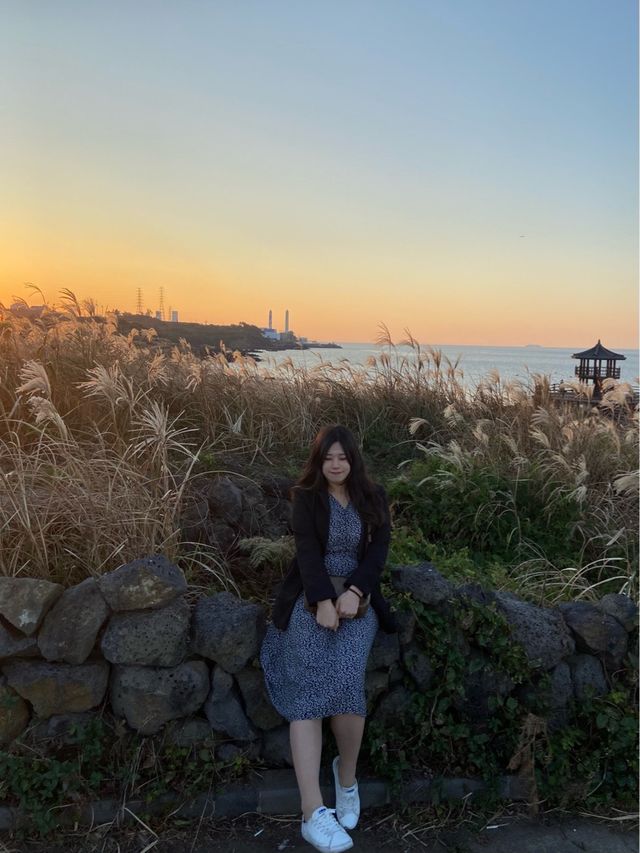 제주 노을을 구경하고 싶다면, 제주 닭머르 해안이 정답✨