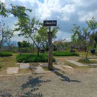 ขึ้นดอยมารับลมหนาวที่ม่อนแจ่มกัน
