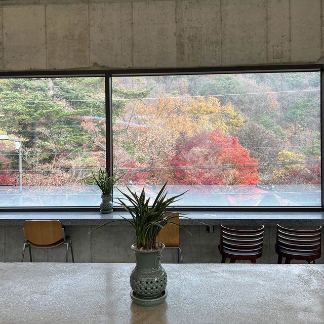 韓国/ｿｳﾙ  紅葉が見られるベーカリーカフェ🥖🍞🥐🍁