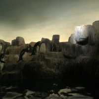 เที่ยว Central Park Zoo กัน