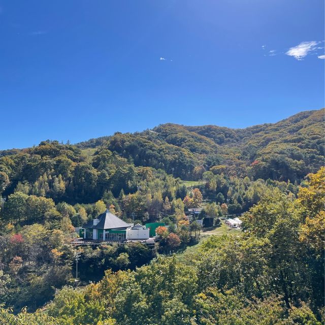 마운틴뷰 제대로 즐기기, 휘닉스 평창 스카이 로얄