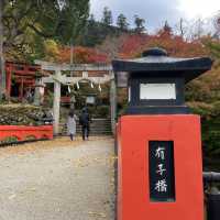 【兵庫県】鳥居と紅葉が美しい秋の有子山稲荷神社へ！