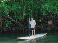 Escape Life Koh Kood ที่พักสุดชิลฟีลป่าโกงกาง