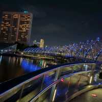 Night View from Helix Bridge