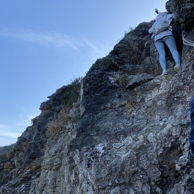 行山 「一樹洞 」沿途驚險