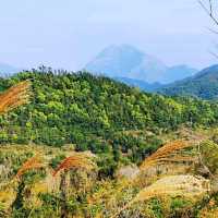 牙鷹山