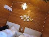 享受式露營Glamping