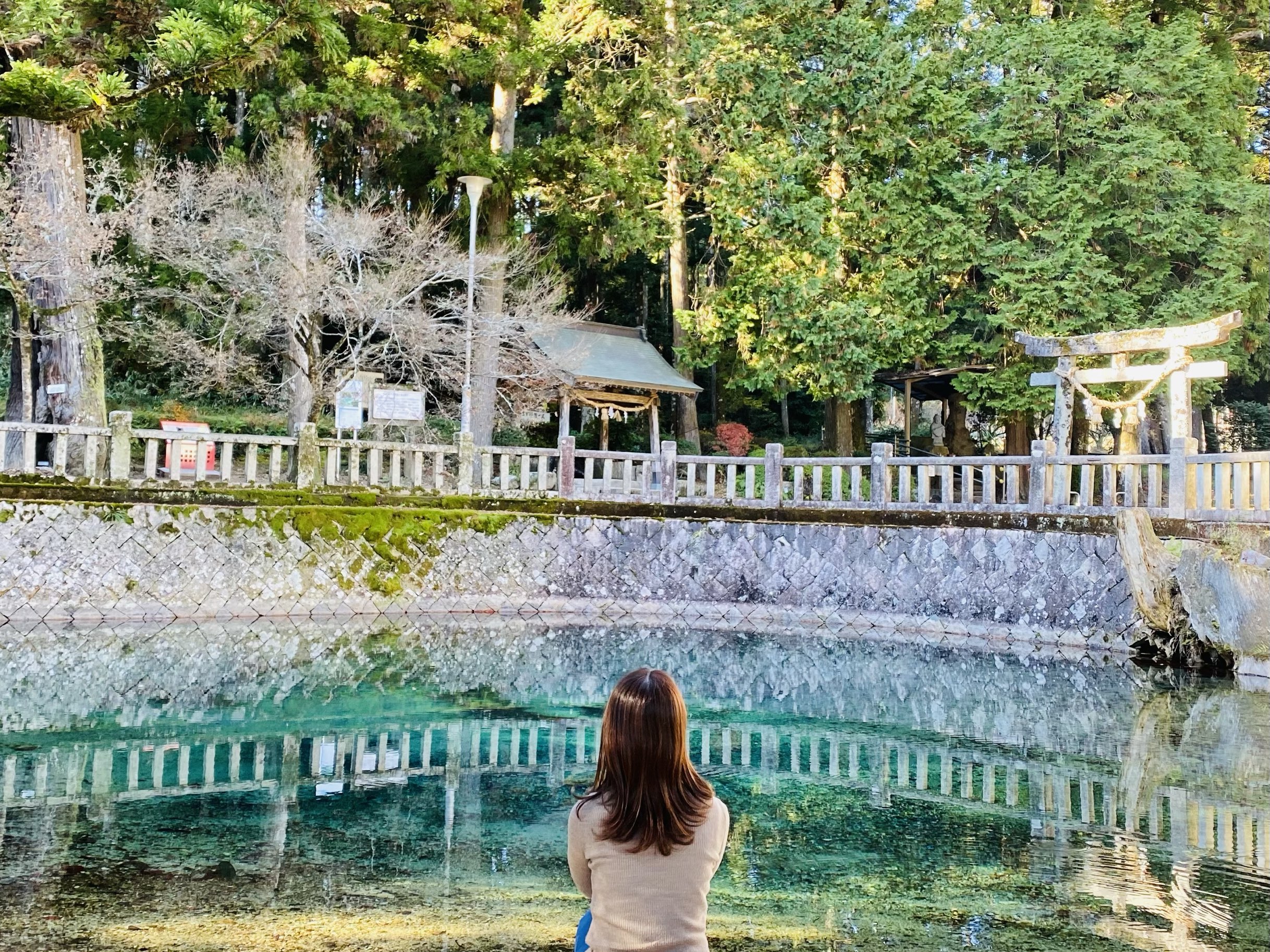 [Yamaguchi] Emerald green pond