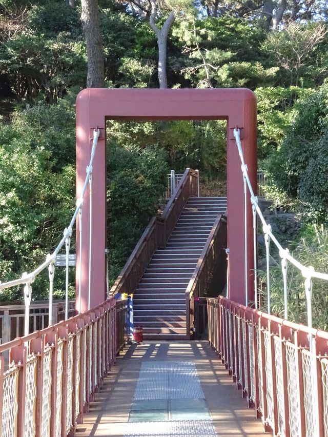부산의 섬 “동백섬” 🌺