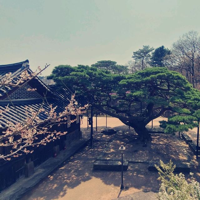 서울미술관&석파정