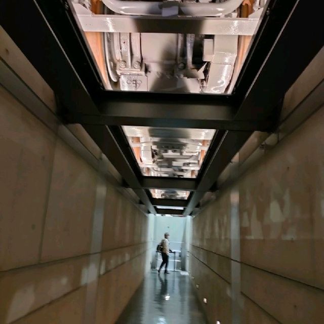 【京都 鉄道博物館】電車を下から見上げてみましょう✨🚄✨