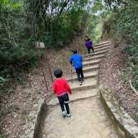港版嵐山竹林之道