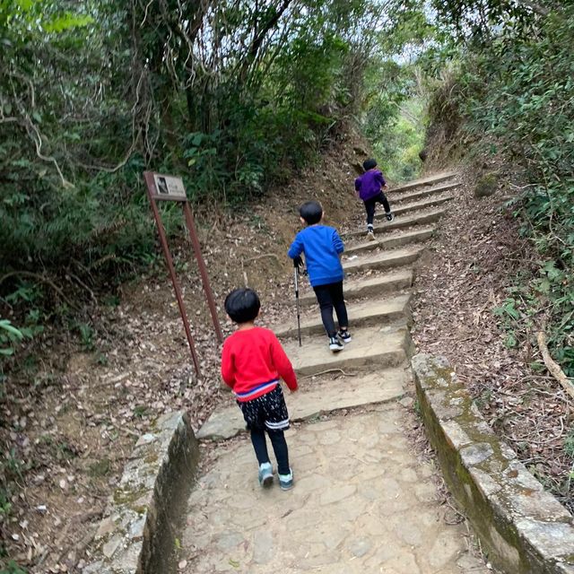 港版嵐山竹林之道