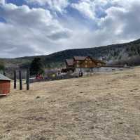 Holiday’s at Mongolian Secret History Camp