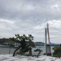 돌산대교를 바라보며 먹을 수 있는 여수 횟집 추천🐟