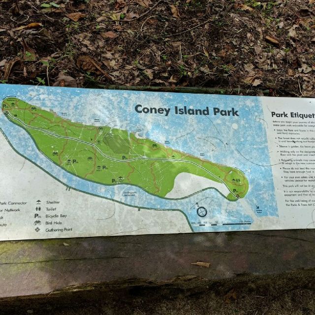 Coney Island Park