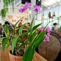 The Titan Food ร้านอาหารระดับโรงแรม 5 ดาว 