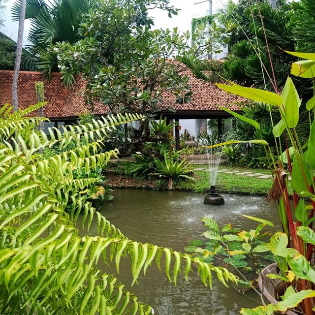 AVANI โรงแรมในป่าใหญ่