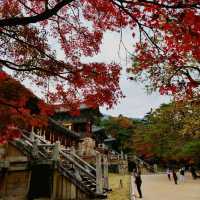 Colours at Bulguksa Temple  Gyeongju