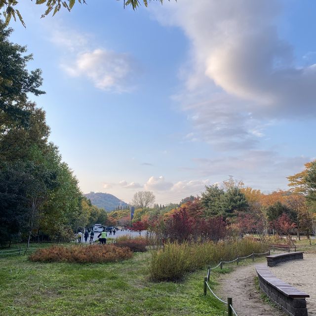 Superb fall park with magnificent road