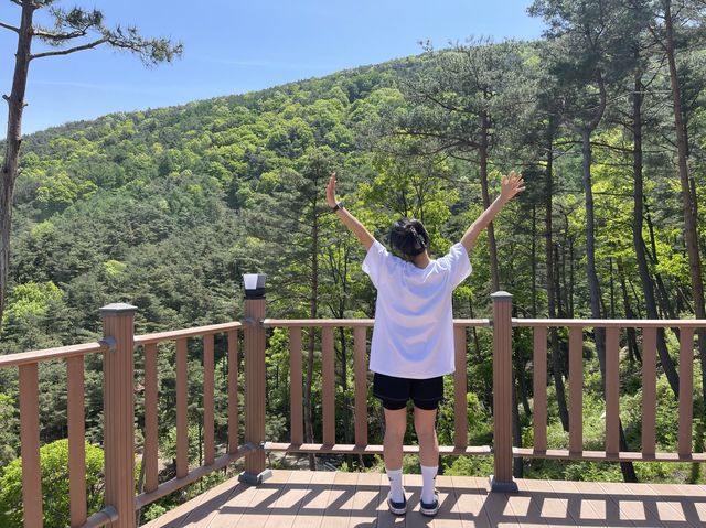[경남/산청]산청 자연속에서 걷는 출렁다리 무릉교❣️