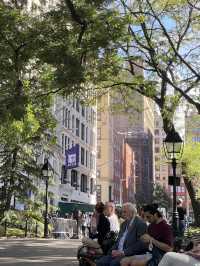 Washington Square park 🌲 뉴욕 명소