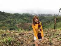 ดอยแม่สลอง แม่ฟ้าหลวง 