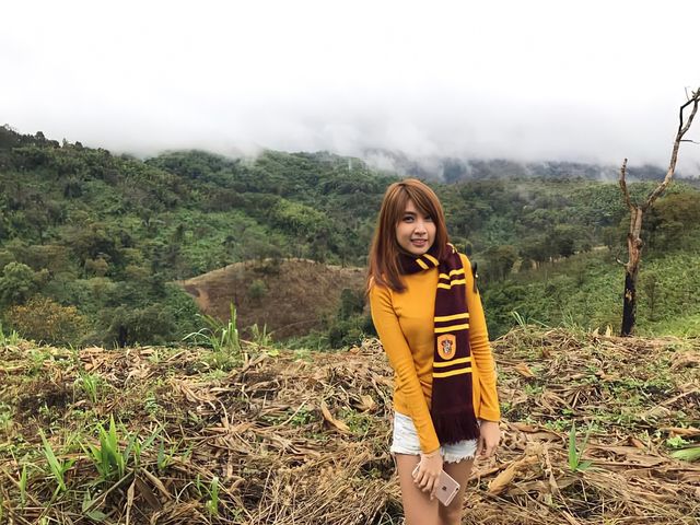 ดอยแม่สลอง แม่ฟ้าหลวง 