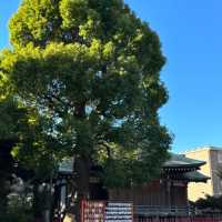 城中特別神社⛩️次守稻菏神社⛩️ 狐狸坐鎮守護😍