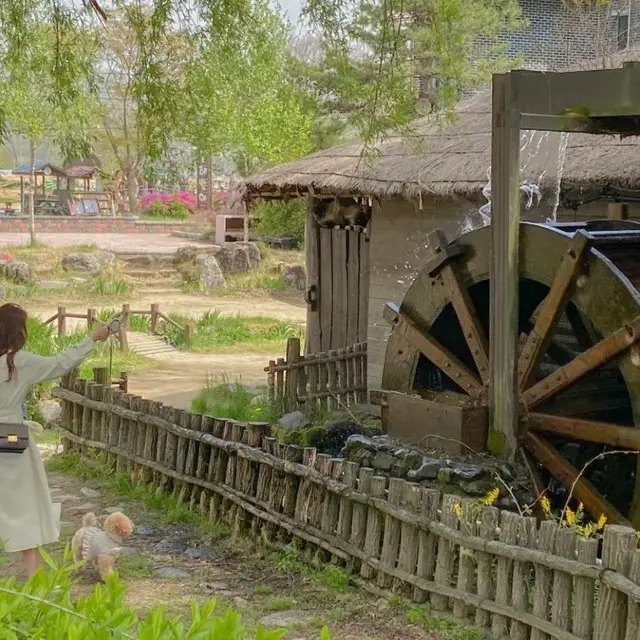 평창 애견동반 맛집 풀내음