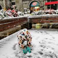 Snow in Nanjing ❄️