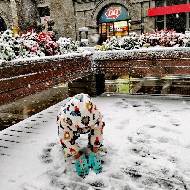 Snow in Nanjing ❄️