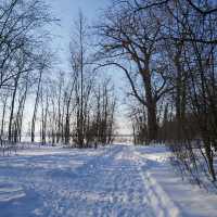 Outdoor winter fun