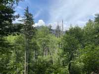Hike to Chimney Top - Great Smokies 