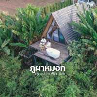 ภูผาหมอก By ขุนเเวะ พิษณุโลก 