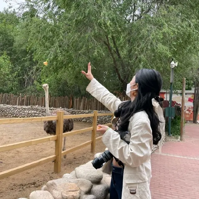 亚洲最大的野生动物园！北京大兴野生动物园