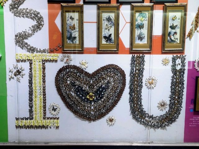 Art made from butterfly wings?