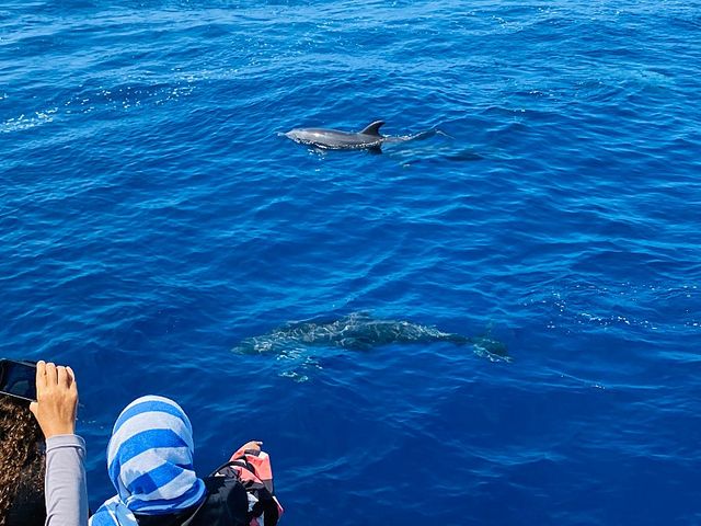 Captain Cook Snorkling