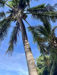 Manukan Island - Malaysia