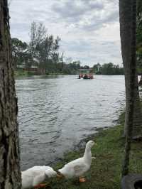 A day trip to the surprising Malaysia Wildlife Park.