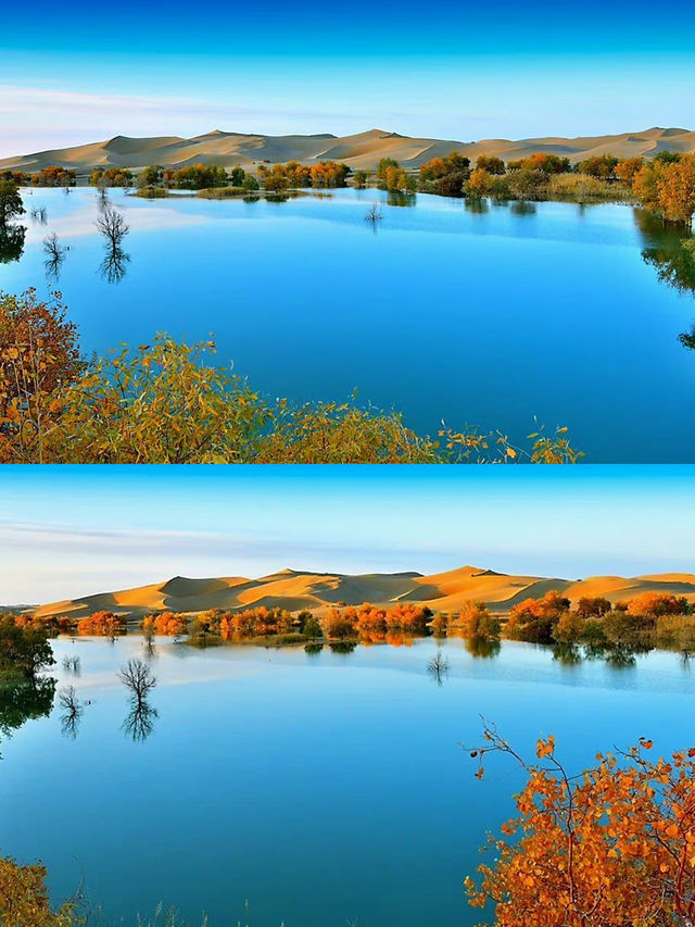 Taklamakan | Xinjiang has more than just grasslands, there are also deserts! A trip to southern Xinjiang.